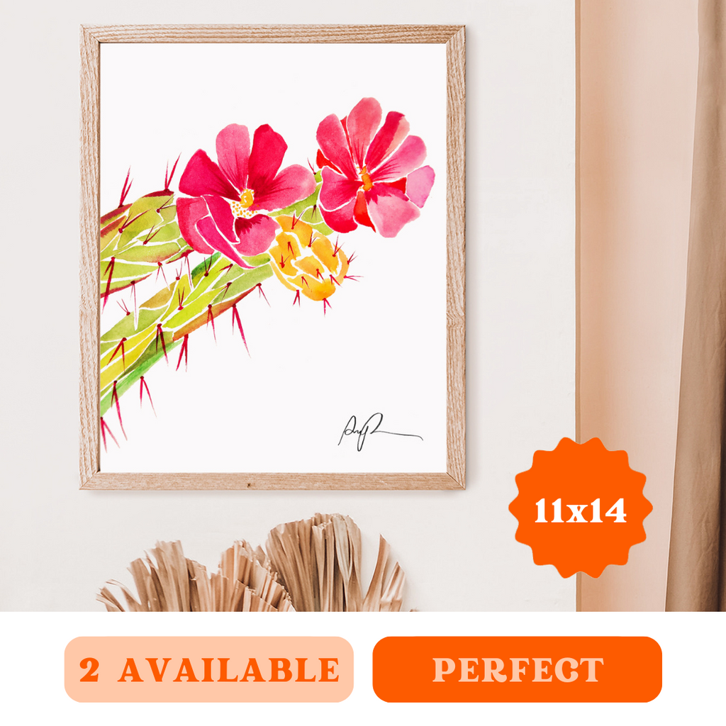 "Cholla Blooms" 11x14 Art Print