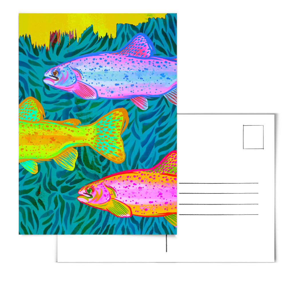 "Rainbow Trout" Postcard