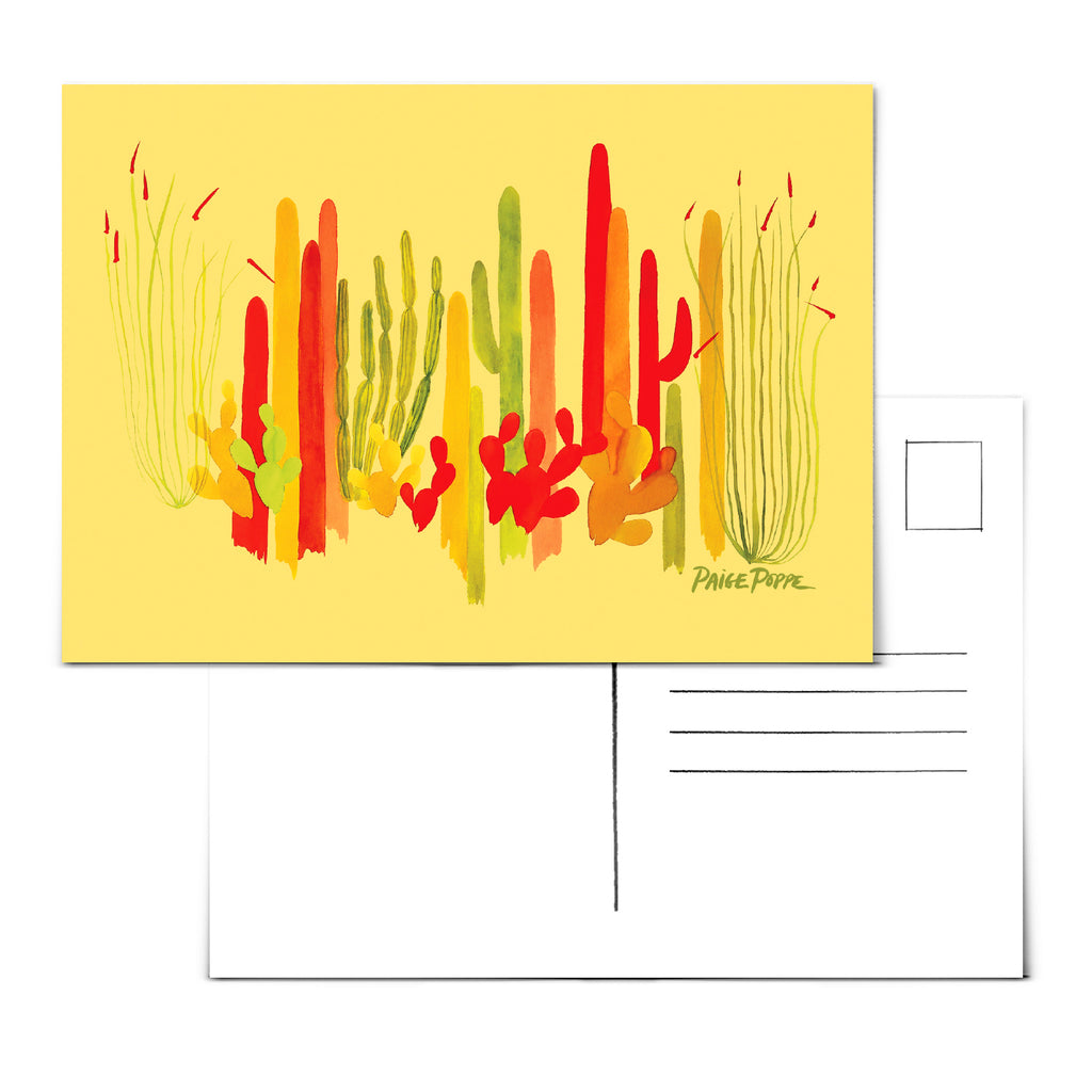 "Cacti Sungarden" Postcard