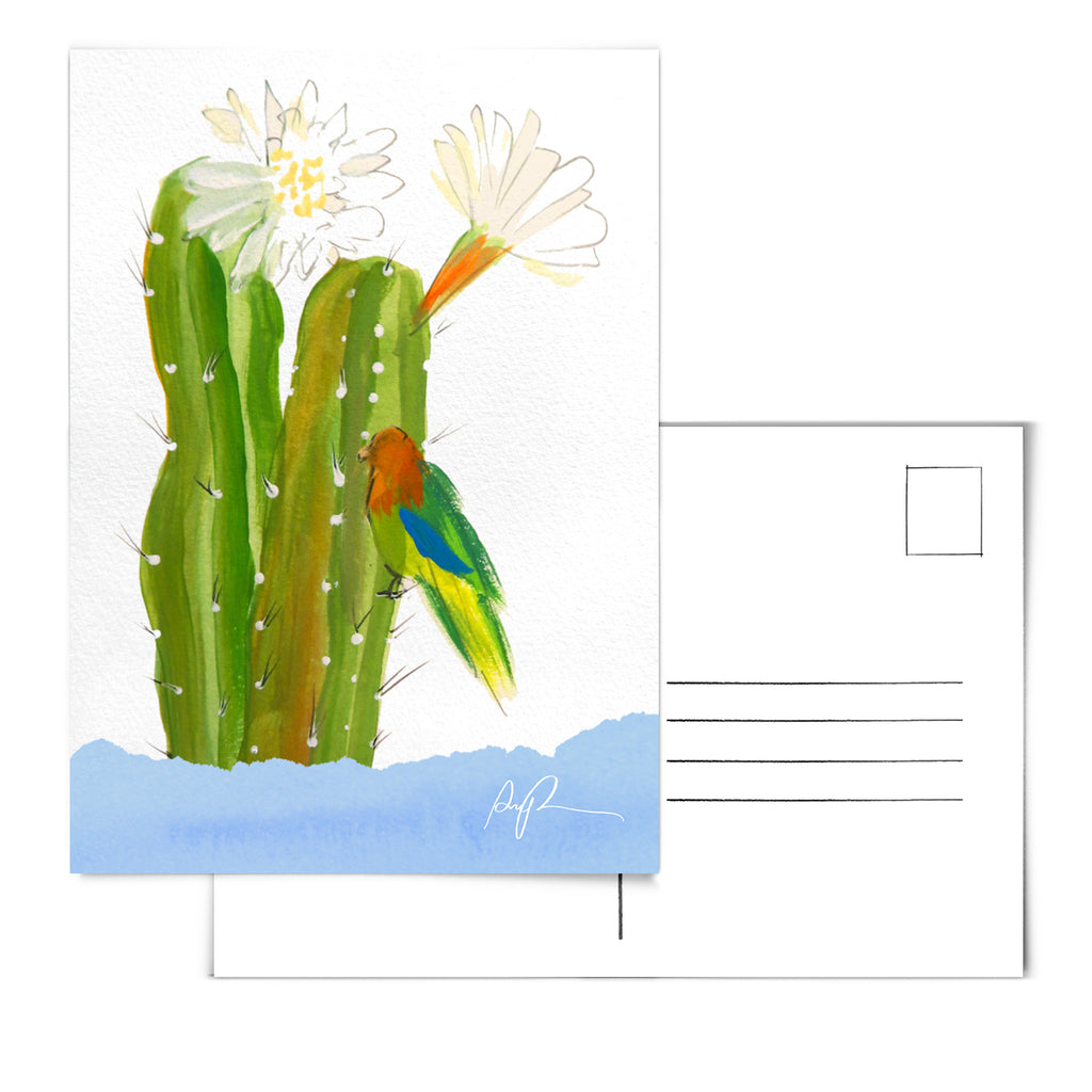 "Sonoran Meadow" Postcard